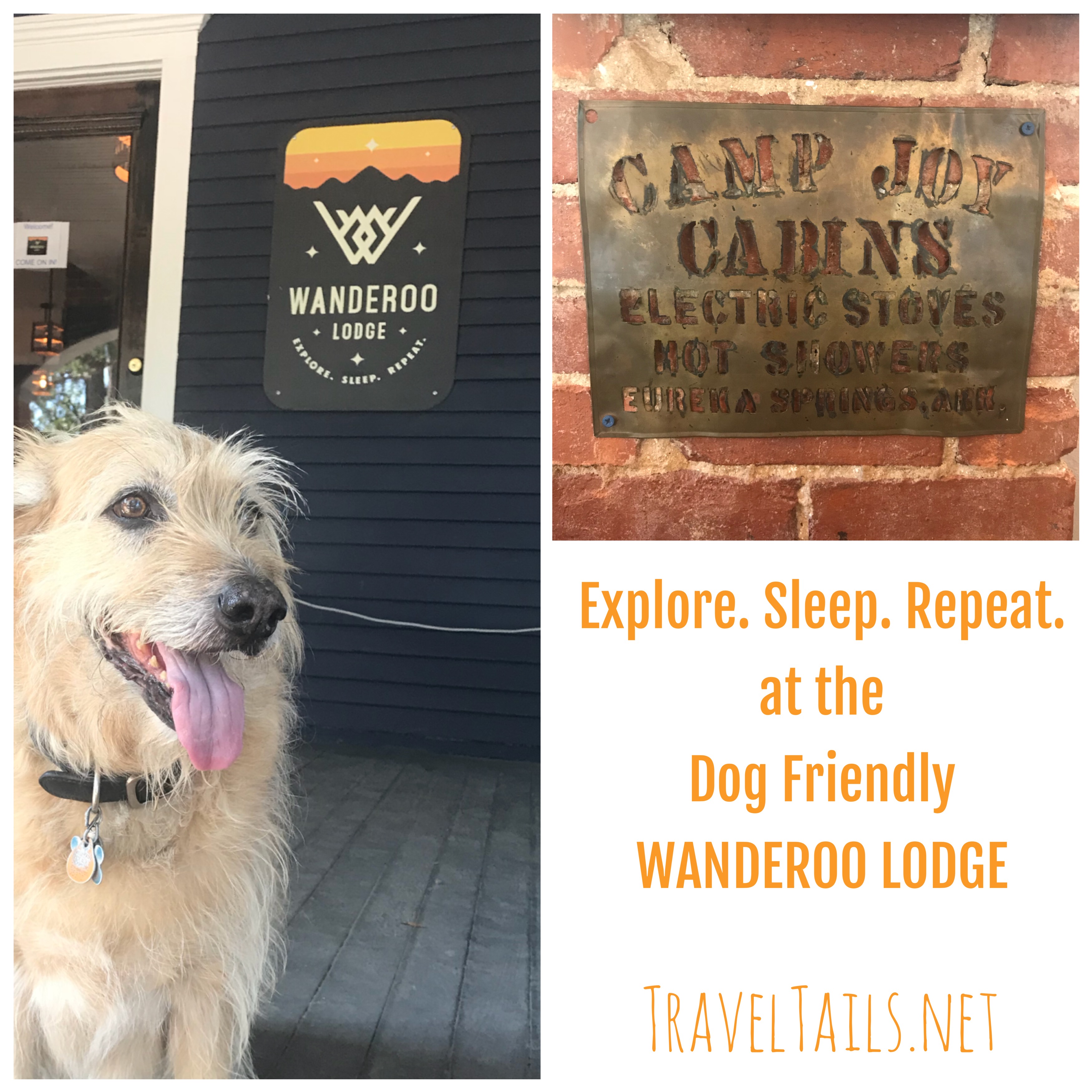 Explore. Sleep. Repeat. at the Dog Friendly Wanderoo Lodge