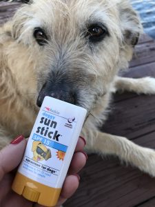 Sunscreen for dogs in SPF 15