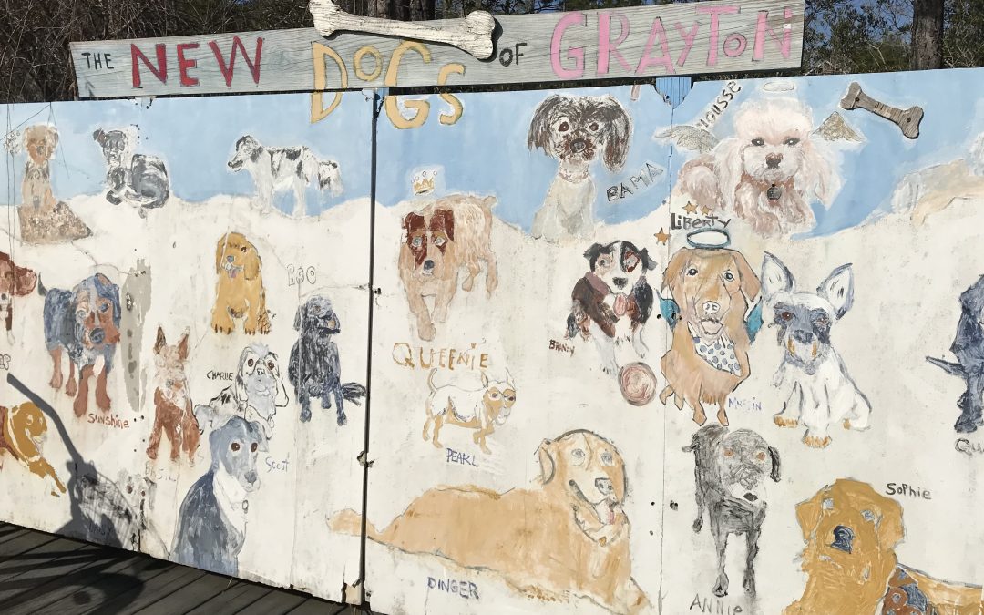 The Dogs of Grayton Beach and The Birth of An Unofficial Motto